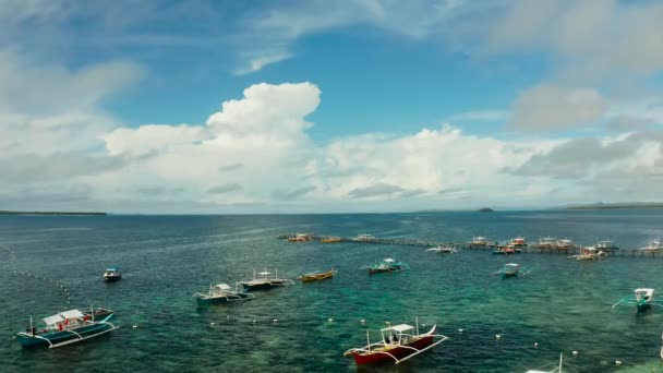 Plajdaki turist tekneleri. General Luna, Siargao adası.. — Stok video