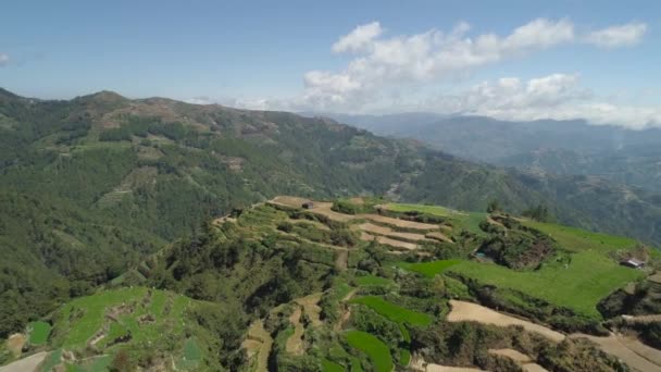 Terres agricoles dans une province de montagne Philippines, Luçon — Video