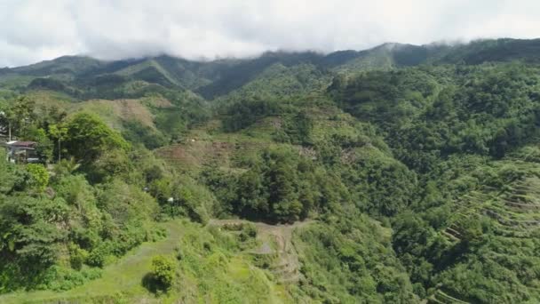 산에서의 쌀 테라스 필리핀, Batad, 바. — 비디오