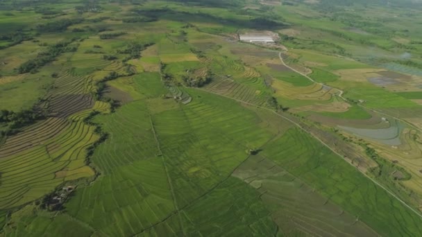 Bergdal med jordbruksmark i Filippinerna. — Stockvideo