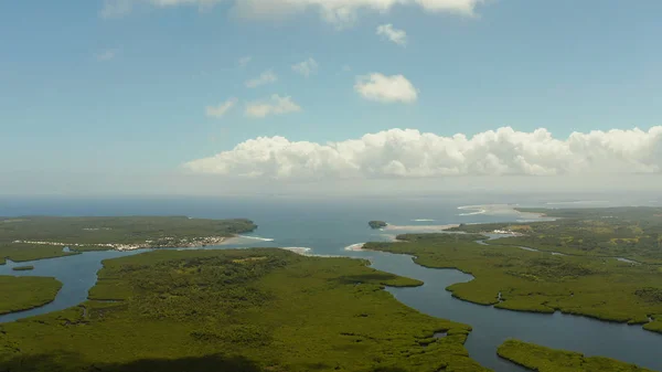 Légi kilátás a mangrove erdő és a folyó. — Stock Fotó