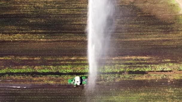 Sistema de riego en tierras agrícolas. — Vídeo de stock