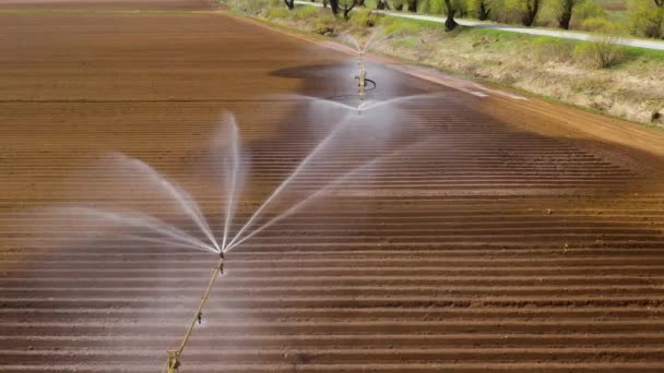 Sistema de irrigação em terras agrícolas. — Vídeo de Stock