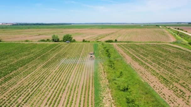 Пестициды трактора на овощное поле с распылителем — стоковое видео