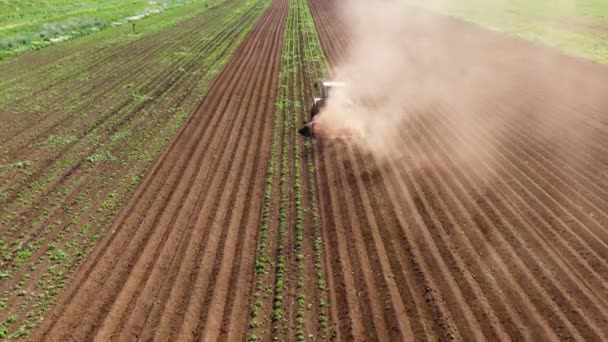 Сельскохозяйственная техника на картофельном поле обрабатывает землю — стоковое видео
