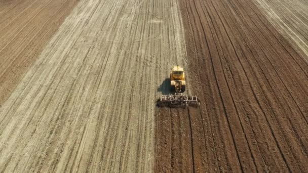 Traktor med tallrikshängare på åkermarken — Stockvideo