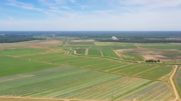 Terrenos agrícolas con cultivos verdes desde arriba — Vídeos de Stock