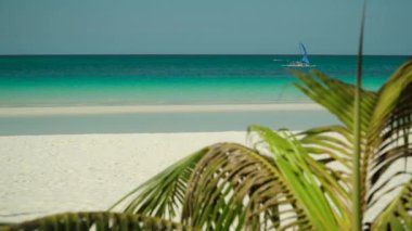 Tropik kumlu sahil ve mavi deniz, Filipinler.