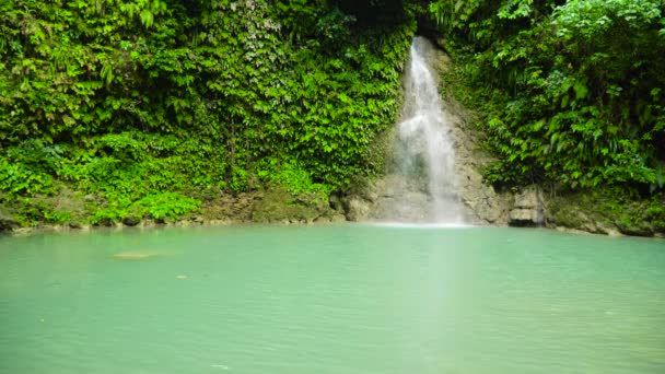 Vackra tropiska vattenfall Filippinerna, Cebu — Stockvideo