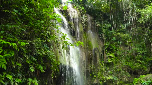 Piękny tropikalny wodospad Filipiny, Cebu — Wideo stockowe