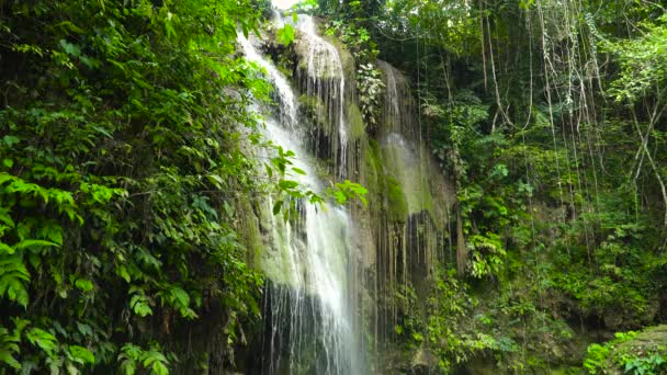 Belle cascade tropicale Philippines, Cebu