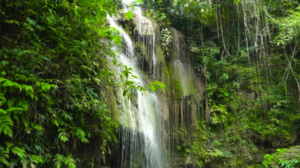 Krásný tropický vodopád Filipíny, Cebu — Stock video