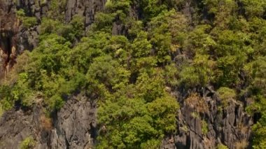 Tropik adaları olan deniz burnu El Nido, Palawan, Filipinler