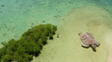 Kumlu bir tropik ada. Palawan, Filipinler