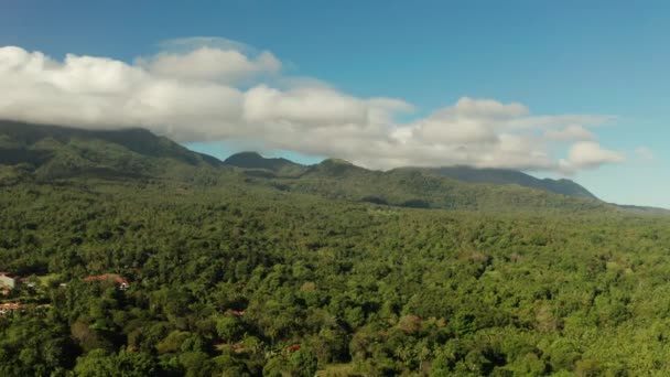 Dağlarla kaplı yağmur ormanları, Filipinler, Camiguin. — Stok video