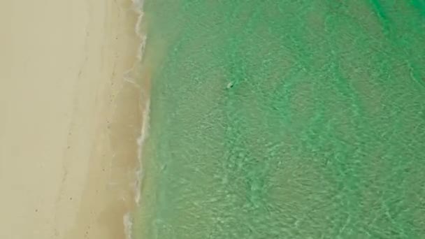 Ocean z falami i piaszczystą plażą — Wideo stockowe