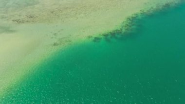 Mavi deniz ve mercan resifli tropikal manzara