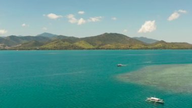 Tropikal adaları ve mavi denizi olan deniz burnu, Palawan, Filipinler