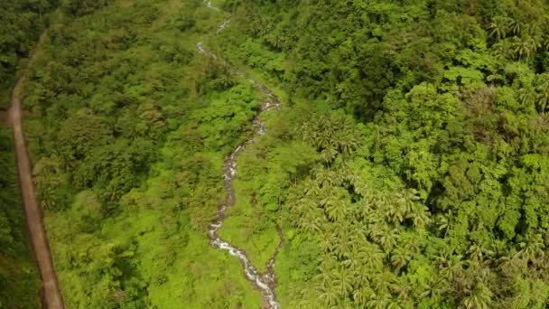 Река течет в горных джунглях, Филиппины, Камиген. — стоковое видео