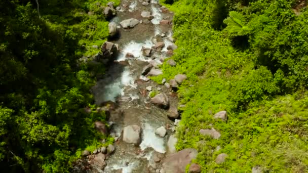 Mountain river in het regenwoud, Filippijnen, Camiguin. — Stockvideo