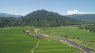 Filipinler 'de tarım arazileri olan dağ vadisi