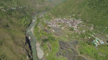 Dağlarda pirinç terasları.