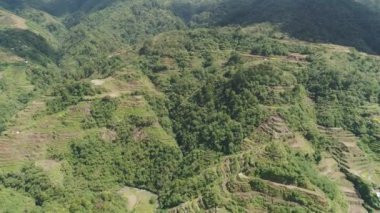 Dağlarda pirinç terasları. Filipinler, Batad, Banaue.