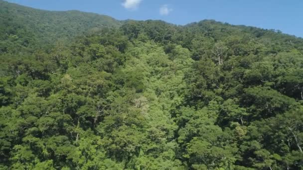 Vista del paisaje de montaña con selva tropical. — Vídeo de stock