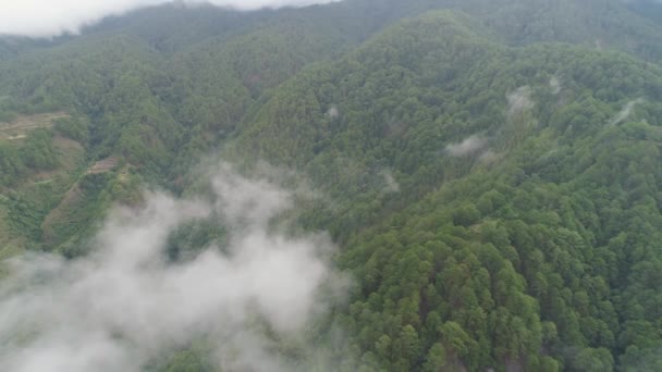 Bergprovincie in de Filipijnen. — Stockvideo