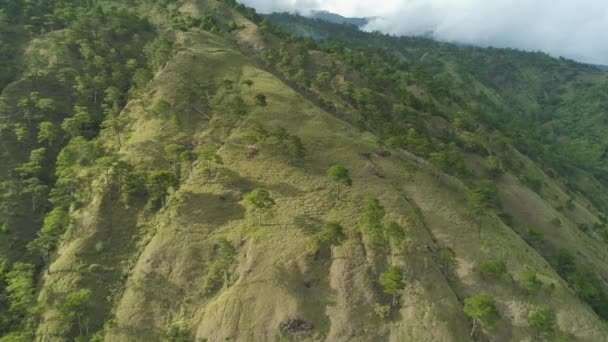 Provincia de montaña en Filipinas. — Vídeos de Stock