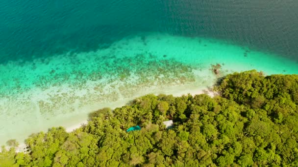 Landscape with coconut trees and turquoise lagoon — Stock Video