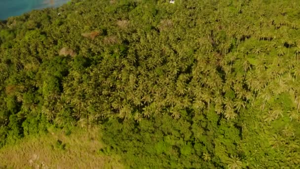 Paisaje con cocoteros y laguna de color turquesa — Vídeos de Stock