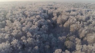 Kırsal kesimde kış manzarası