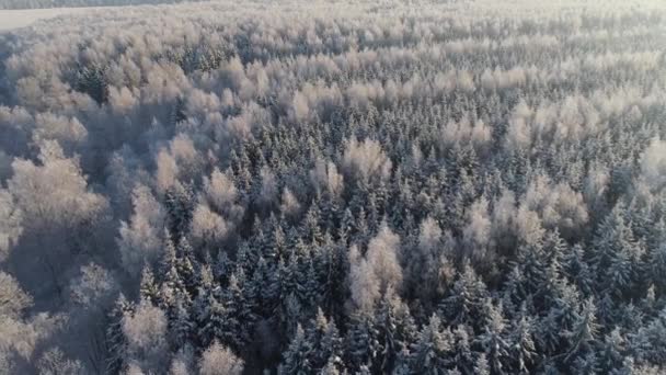 田舎の冬の風景 — ストック動画