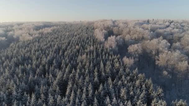 Vinterlandskap på landsbygden — Stockvideo