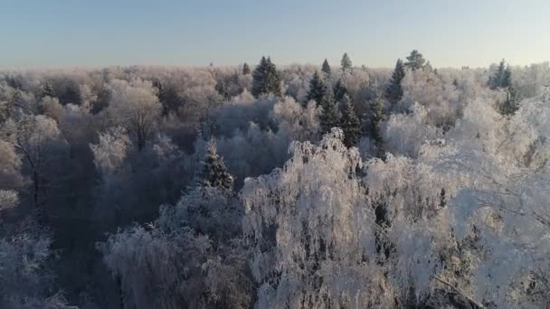 Зимовий пейзаж у сільській місцевості — стокове відео