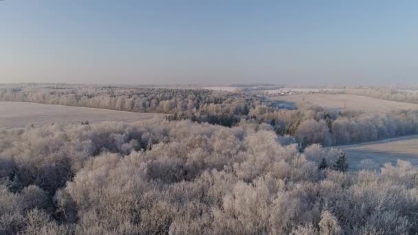 Paisagem de inverno no campo — Vídeo de Stock