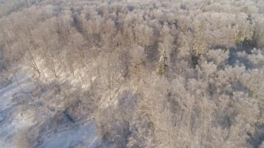 Kırsal kesimde kış manzarası