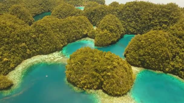 Paisaje marino con lagunas e islas — Vídeo de stock