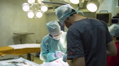 Veteriner kliniğinde bir köpeğin cerrahi müdahalesi