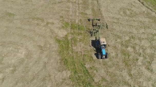 Tractor with rake tedders on the farm field. — Stock Video