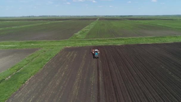 Récolte des pommes de terre sur le terrain — Video