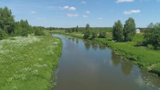 Krajina s řekou a stromy. — Stock video