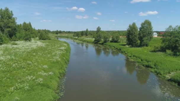 Landschaft mit Fluss und Bäumen. — Stockvideo