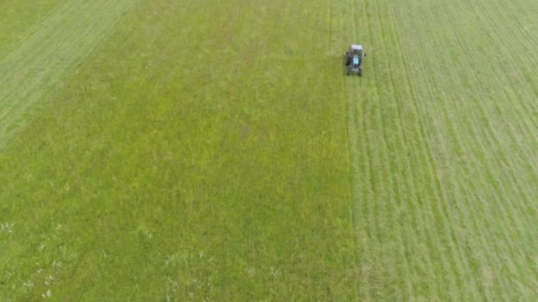 Tractor mows the grass — Stock Video