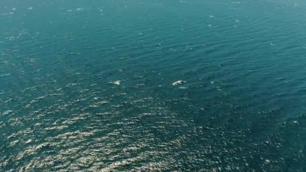 Denizin mavi yüzeyi, en üst manzara. — Stok video