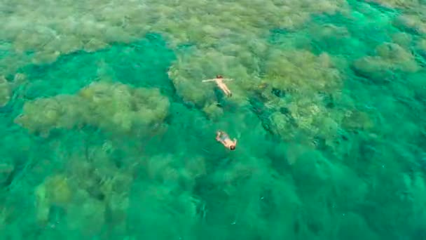 Mercan resiflerinde, Moalboal 'da, Filipinlerde şnorkelle yüzen turistler — Stok video