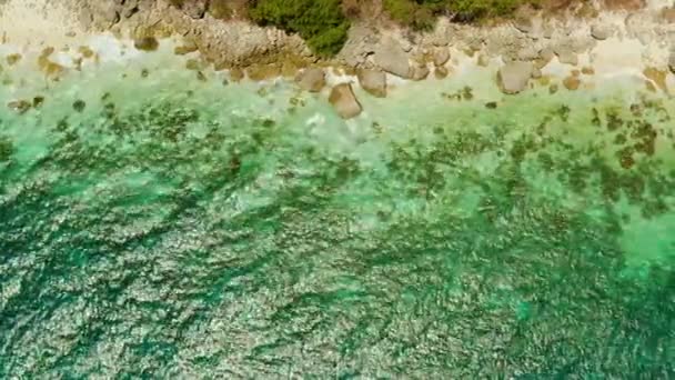 Playa tropical y mar azul claro — Vídeos de Stock