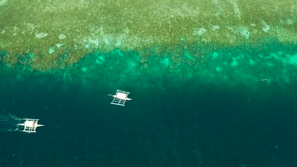 サンゴ礁とターコイズブルーの水,モアルボアル,フィリピン. — ストック動画