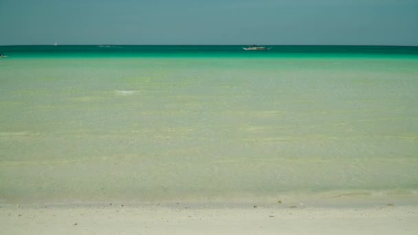 Tropischer Sandstrand und blaues Meer, Philippinen. — Stockvideo